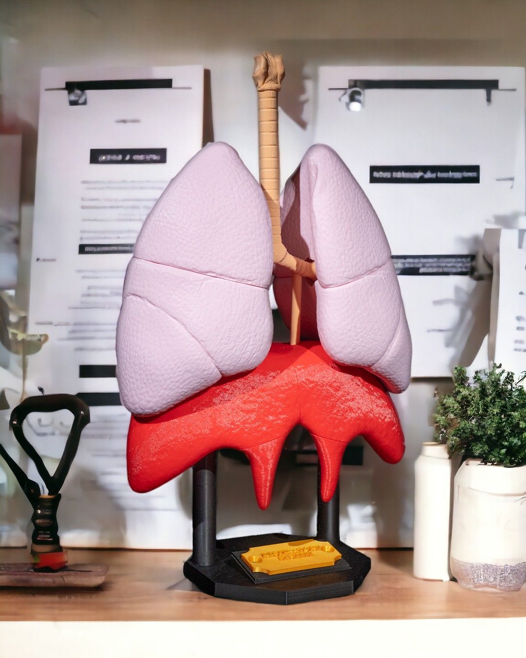 1392 - Lung Anatomical Model