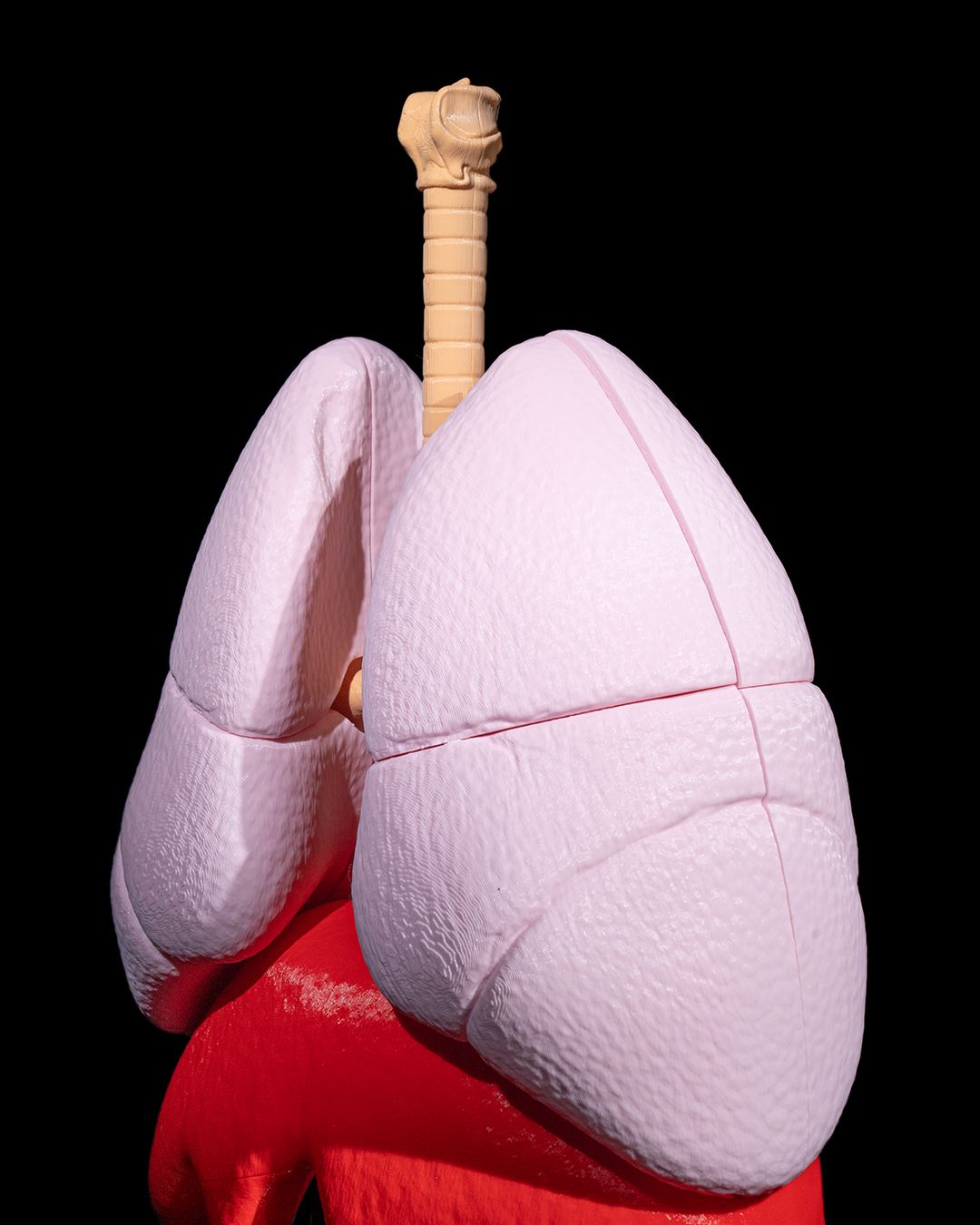 1392 - Lung Anatomical Model