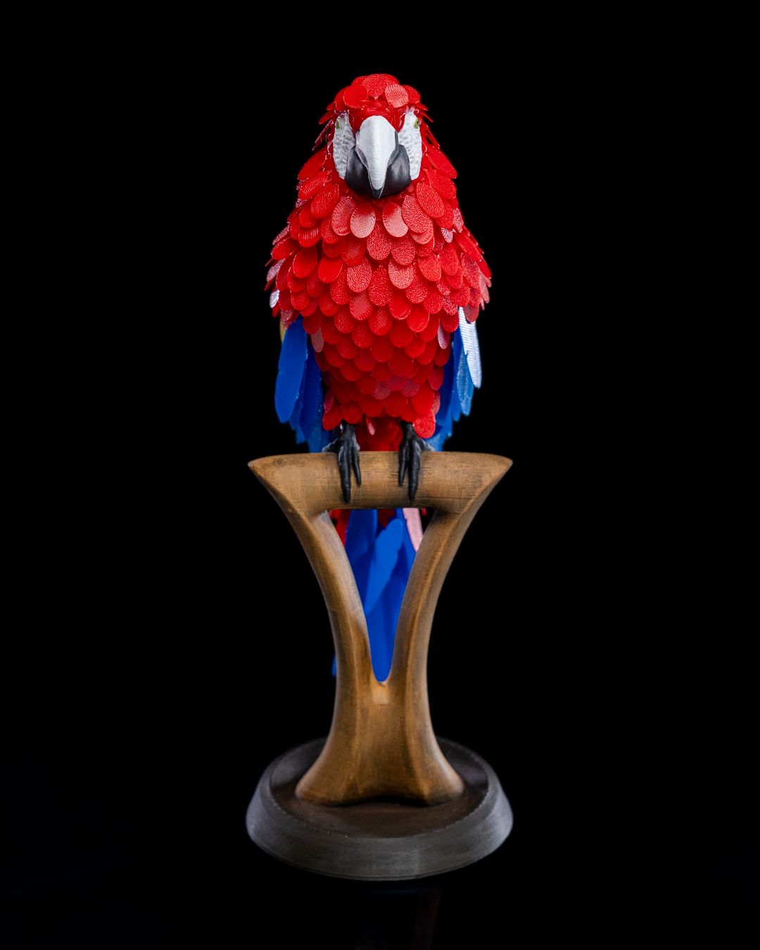 0902 - Macaw Feather Puzzle