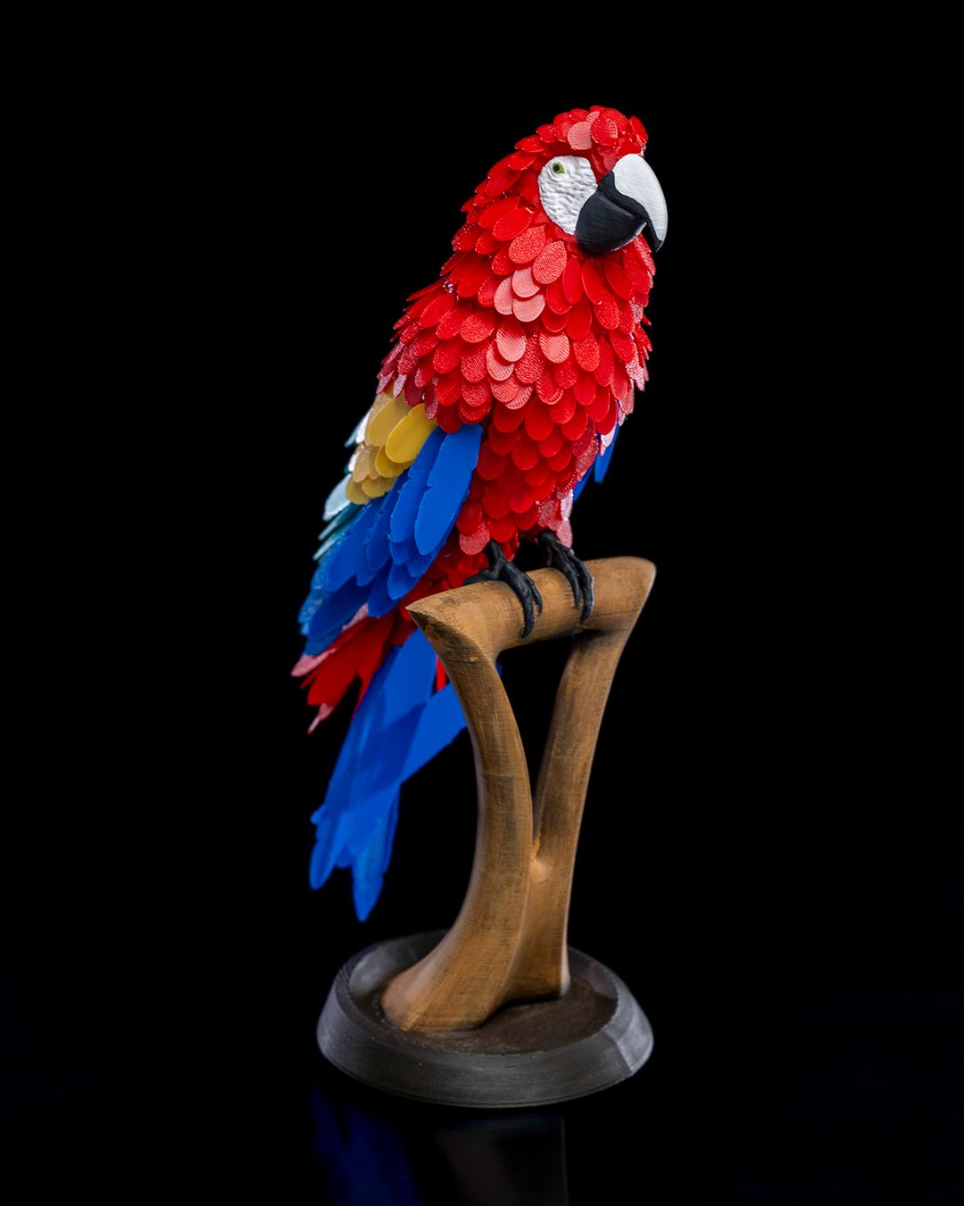 0902 - Macaw Feather Puzzle