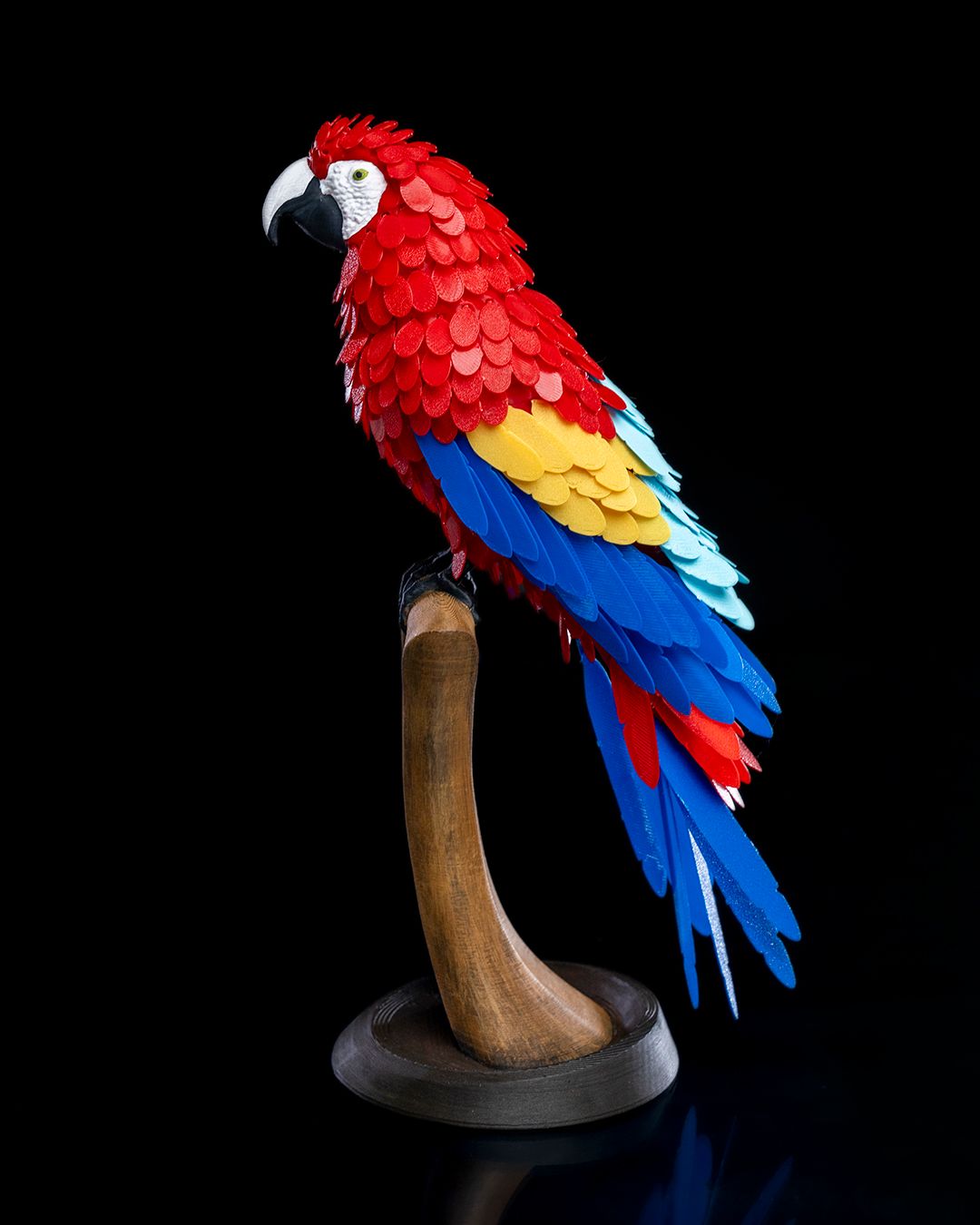 0902 - Macaw Feather Puzzle