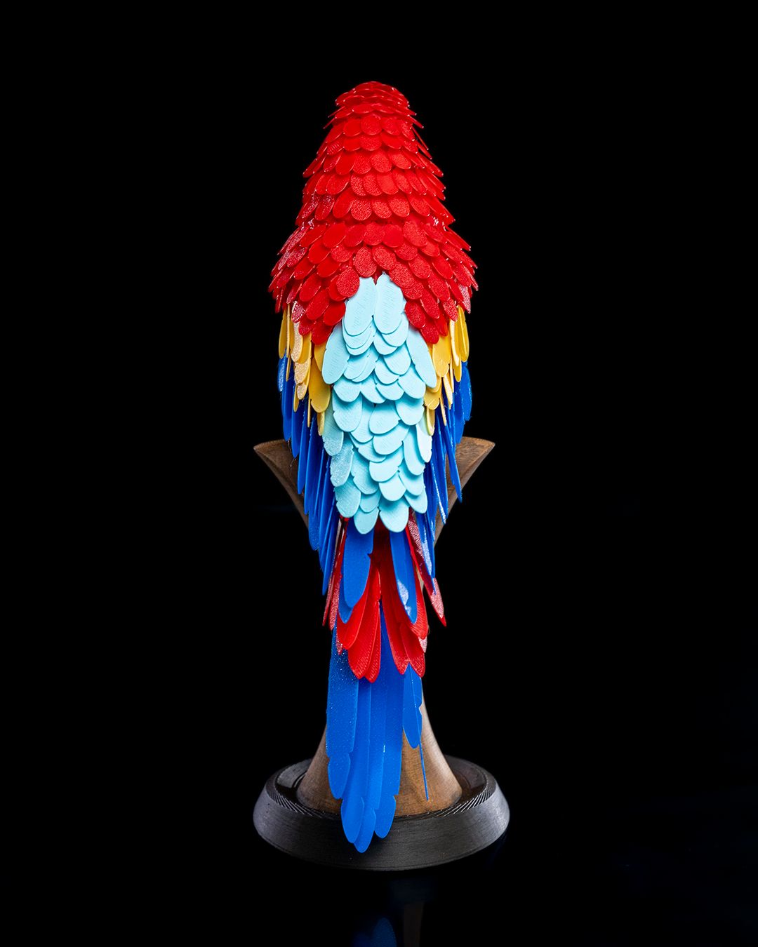 0902 - Macaw Feather Puzzle
