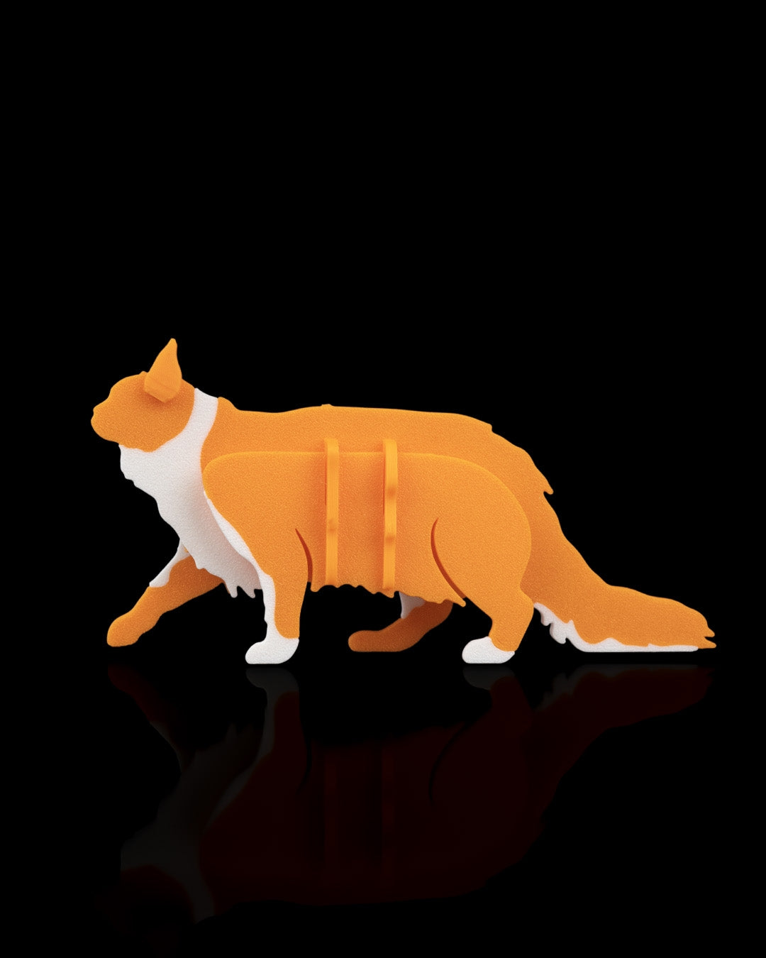 2529 - Maine Coon Kit Card