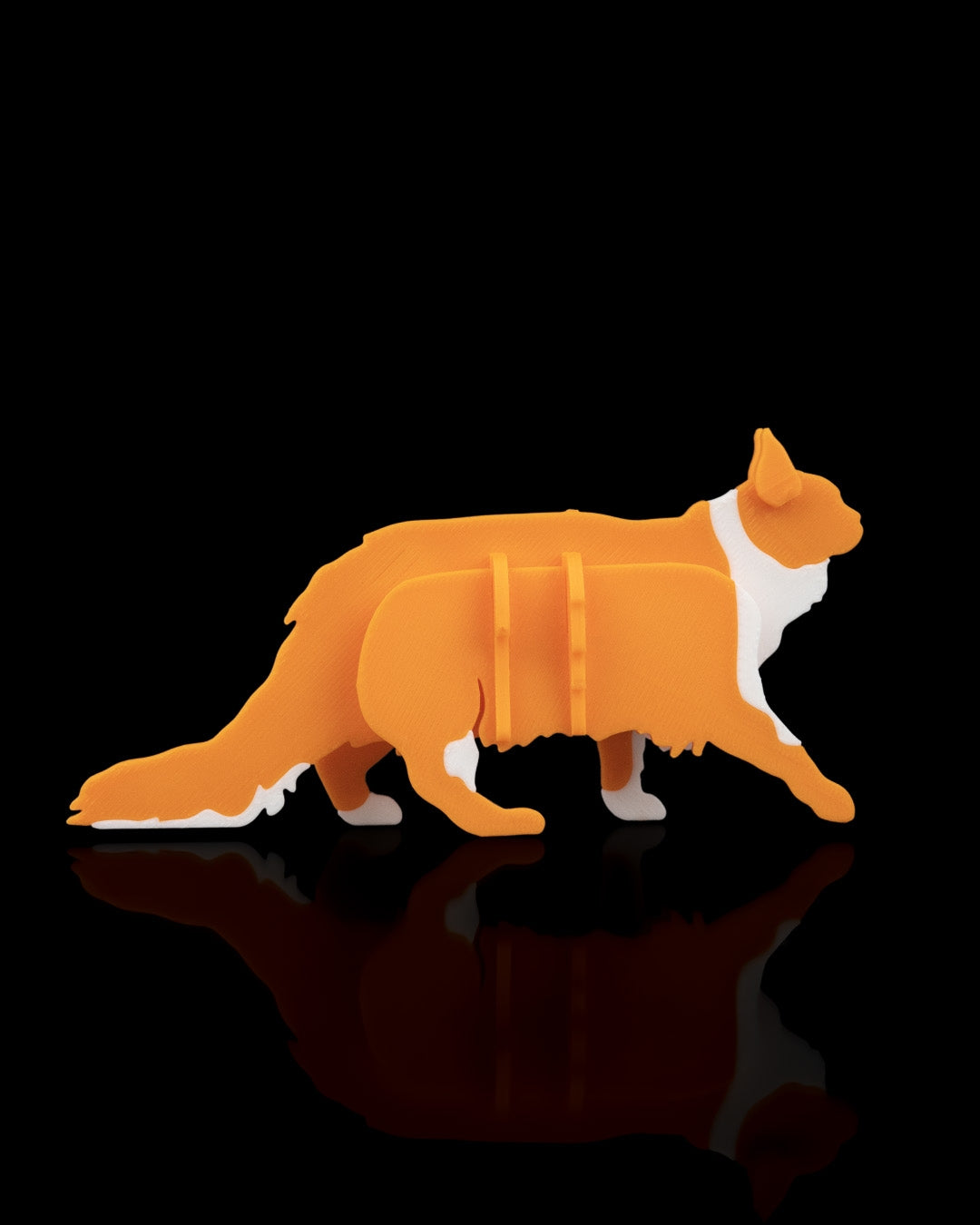 2529 - Maine Coon Kit Card