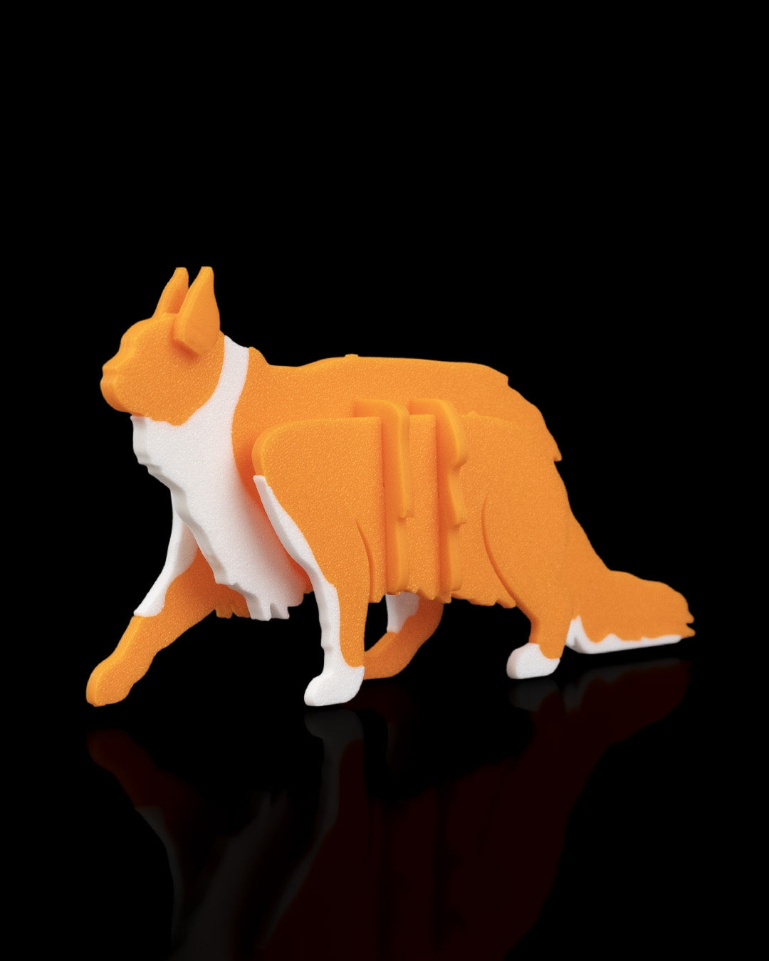2529 - Maine Coon Kit Card