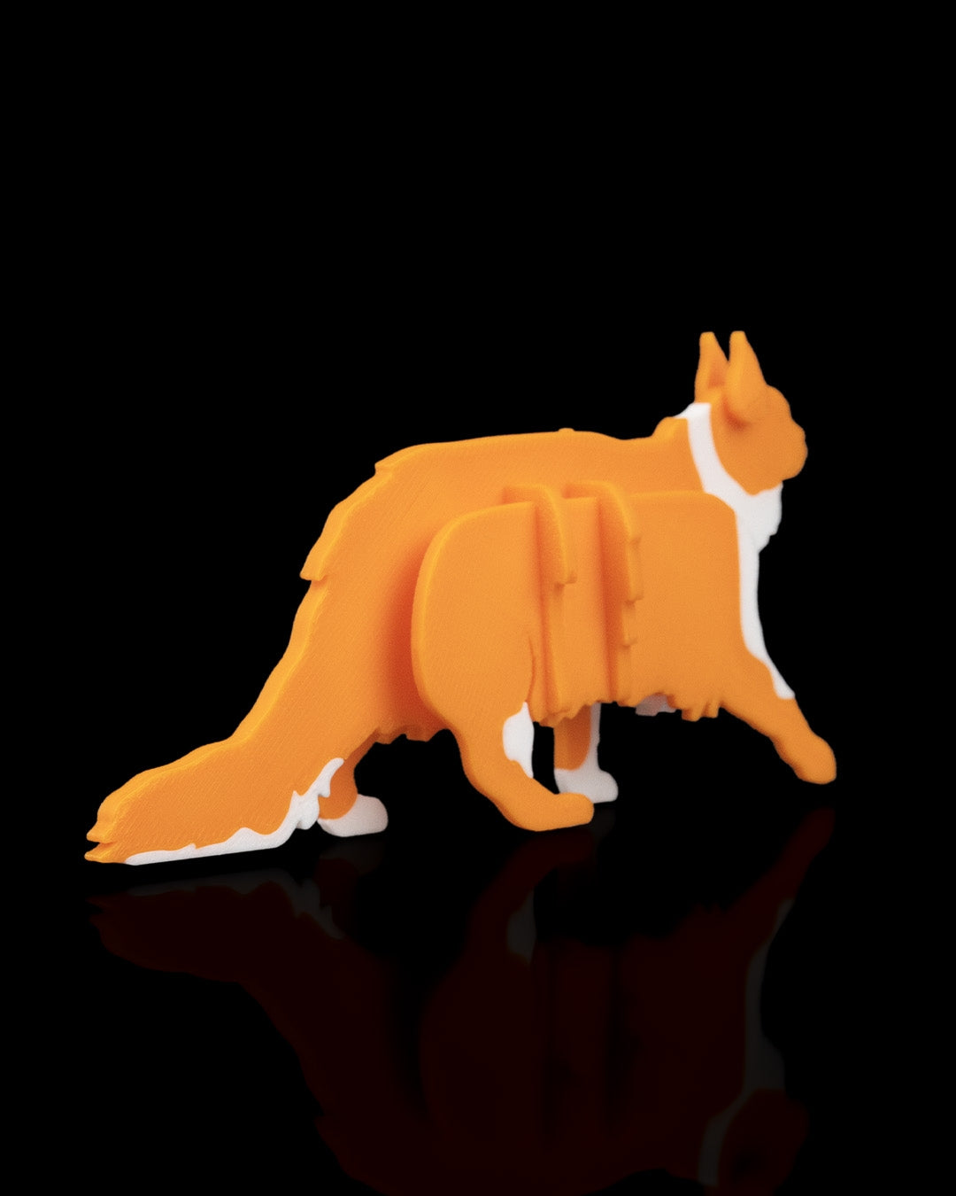2529 - Maine Coon Kit Card