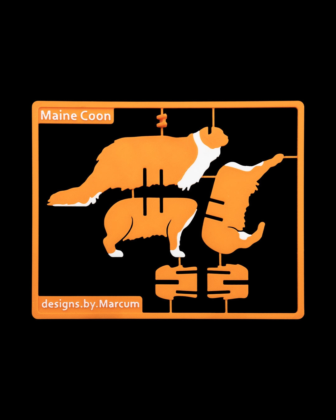 2529 - Maine Coon Kit Card