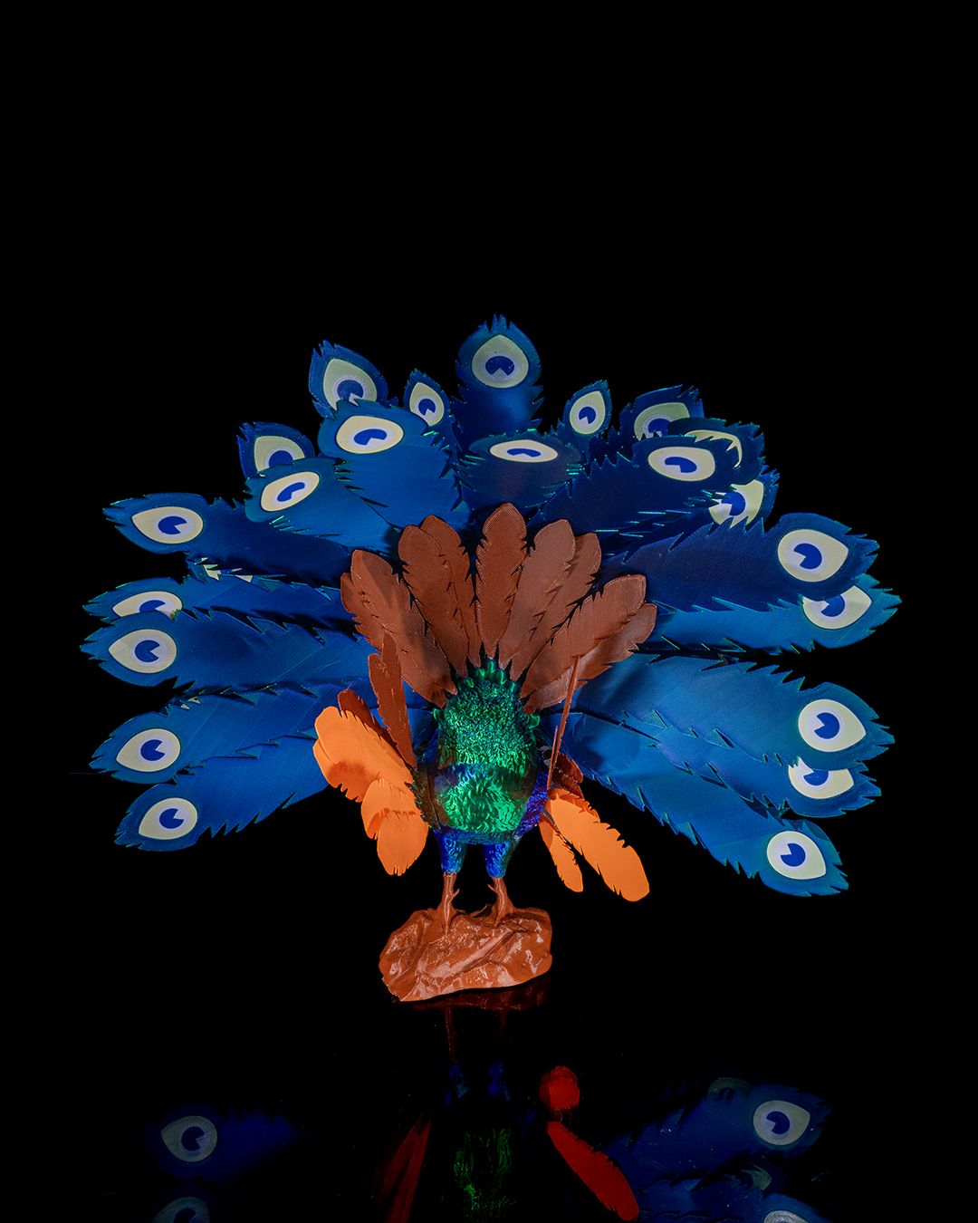 1342 - Mayura, the Peafowl