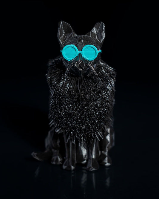 0850 - Missy the Maine Coon