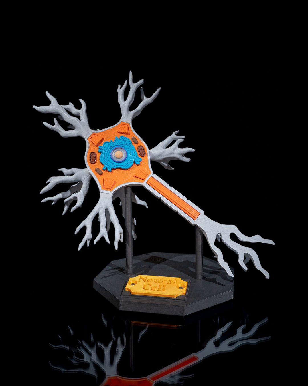 1532 - Neural Cell