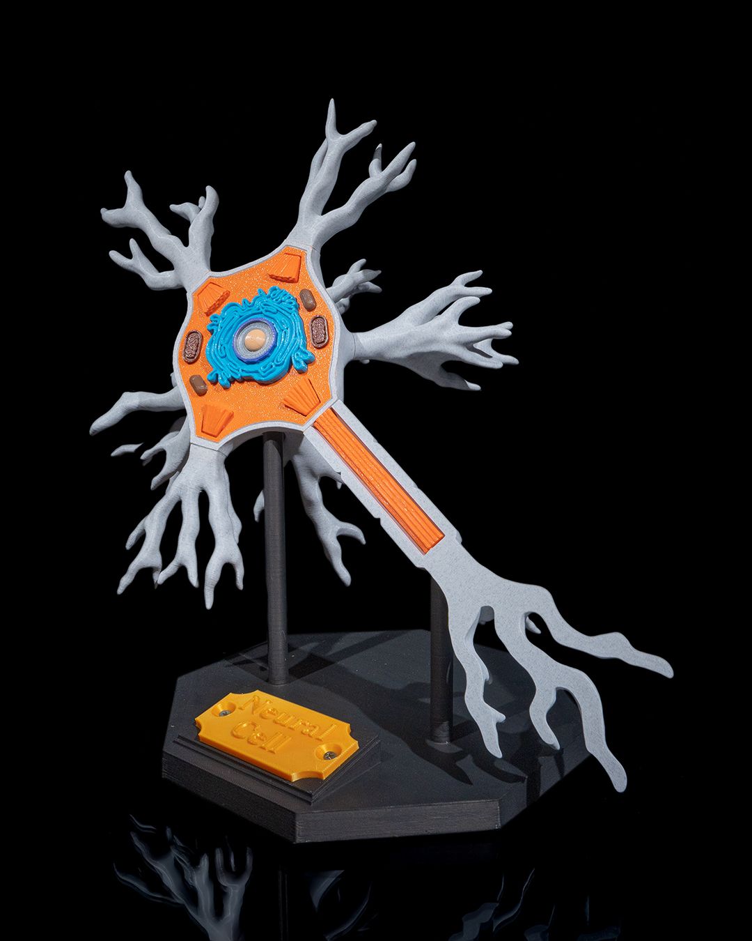 1532 - Neural Cell