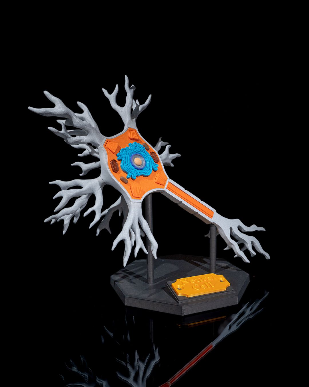 1532 - Neural Cell