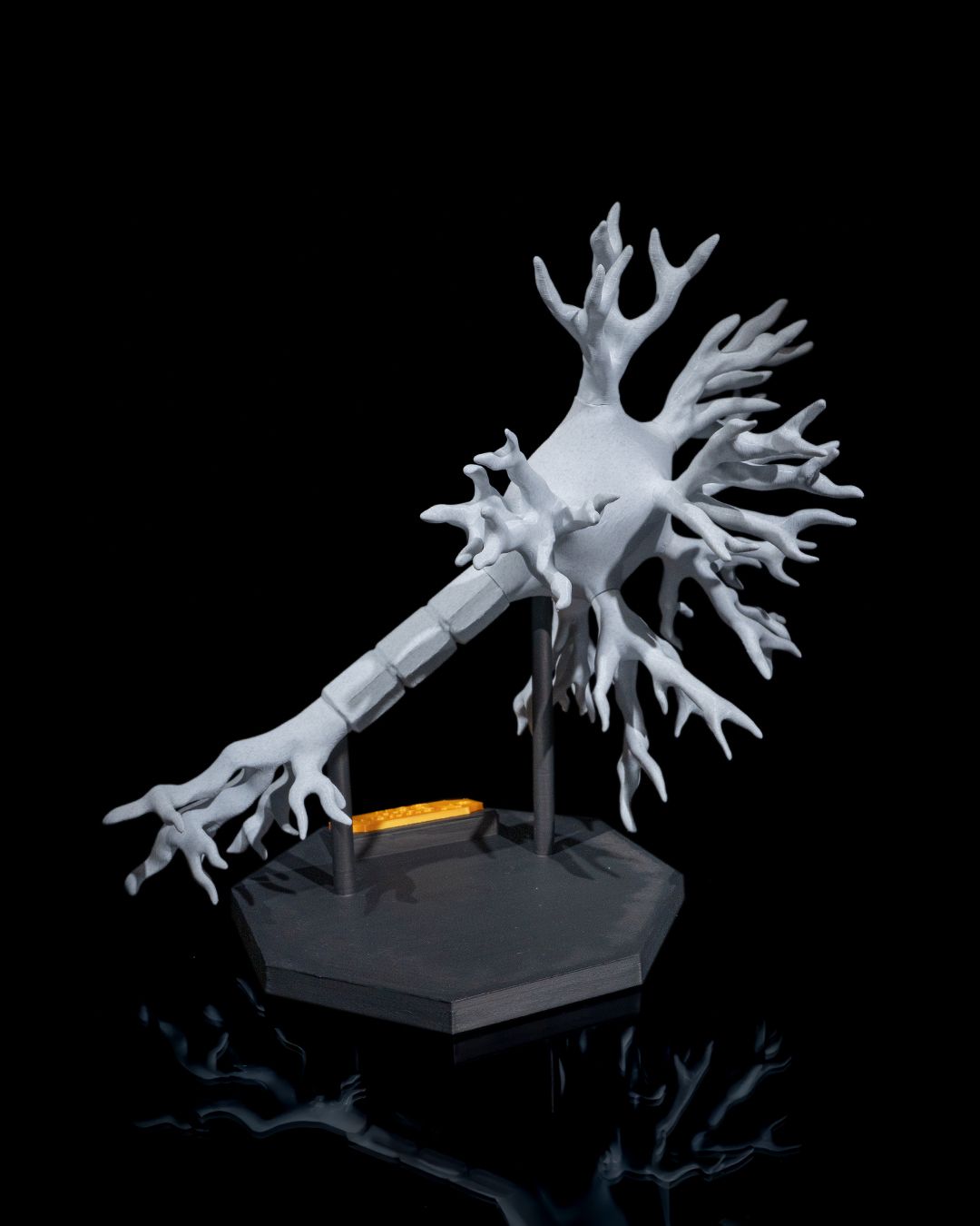 1532 - Neural Cell
