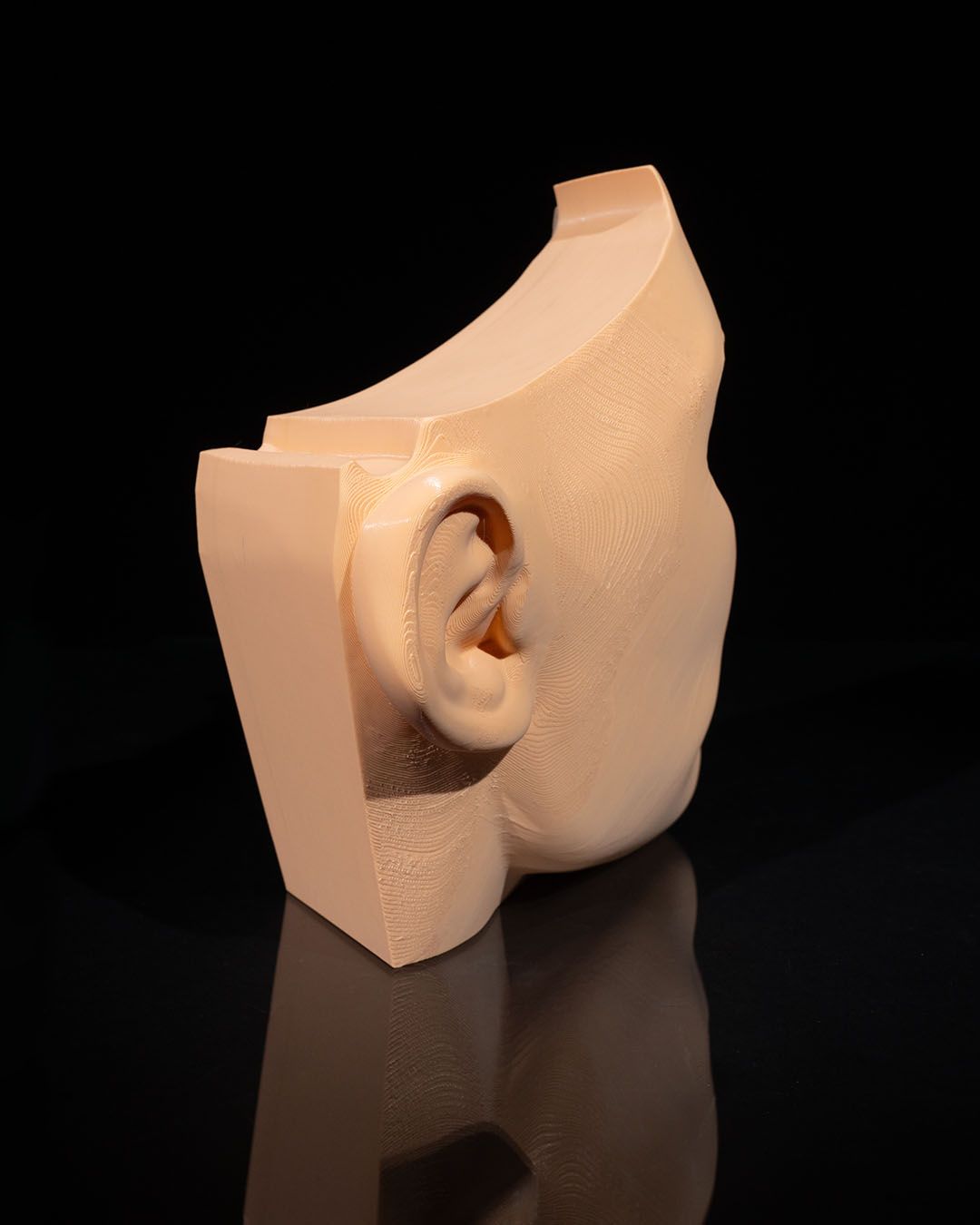 1270 - Nose and Sinus