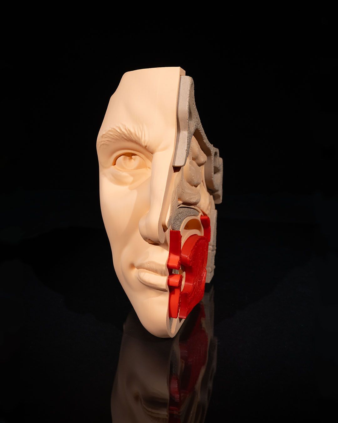 1270 - Nose and Sinus