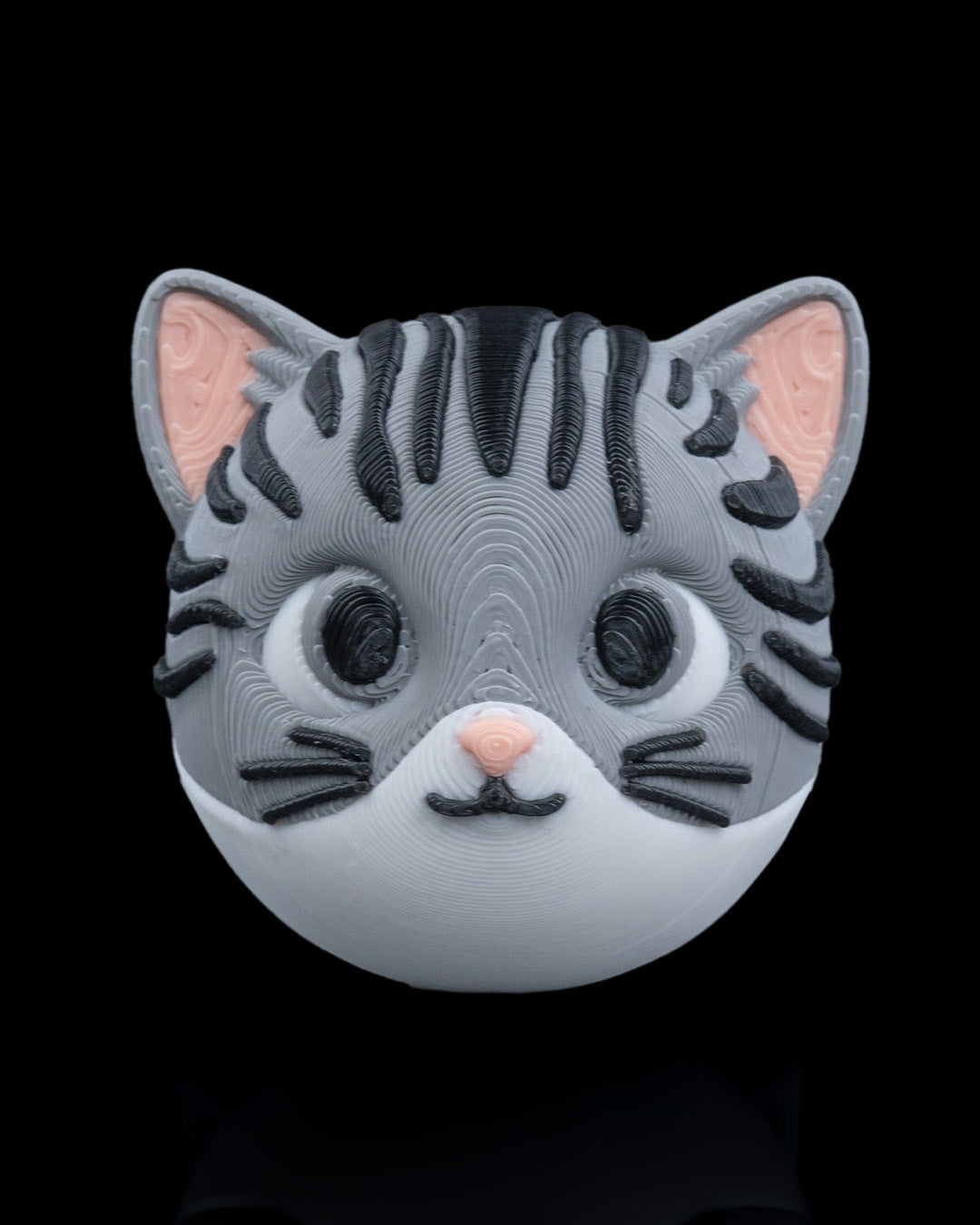 2413 - Not Missing Cat