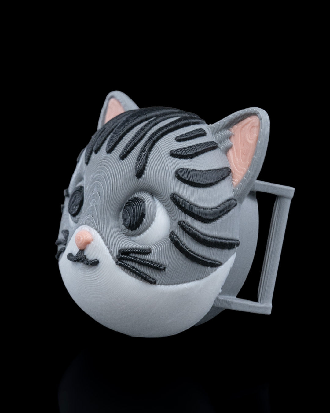 2413 - Not Missing Cat