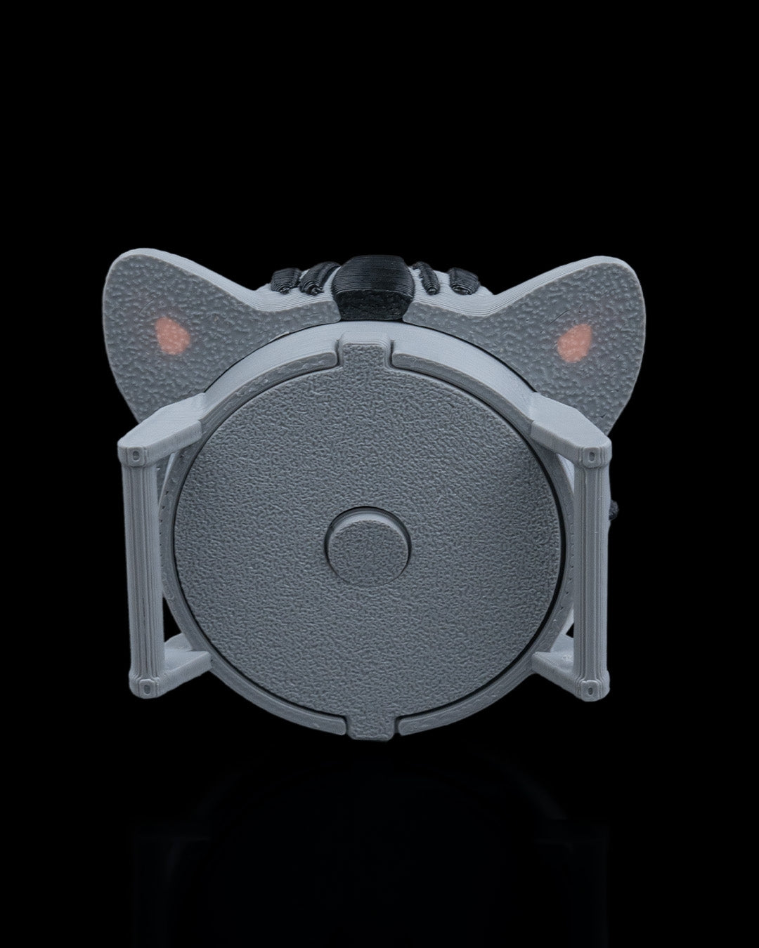 2413 - Not Missing Cat