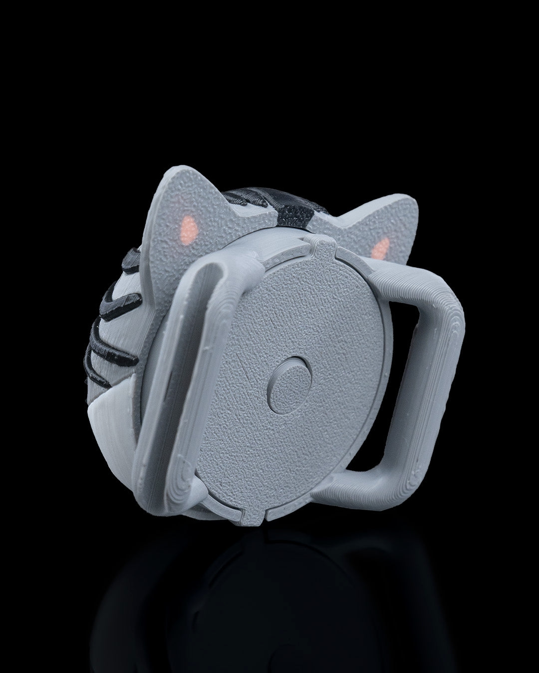 2413 - Not Missing Cat