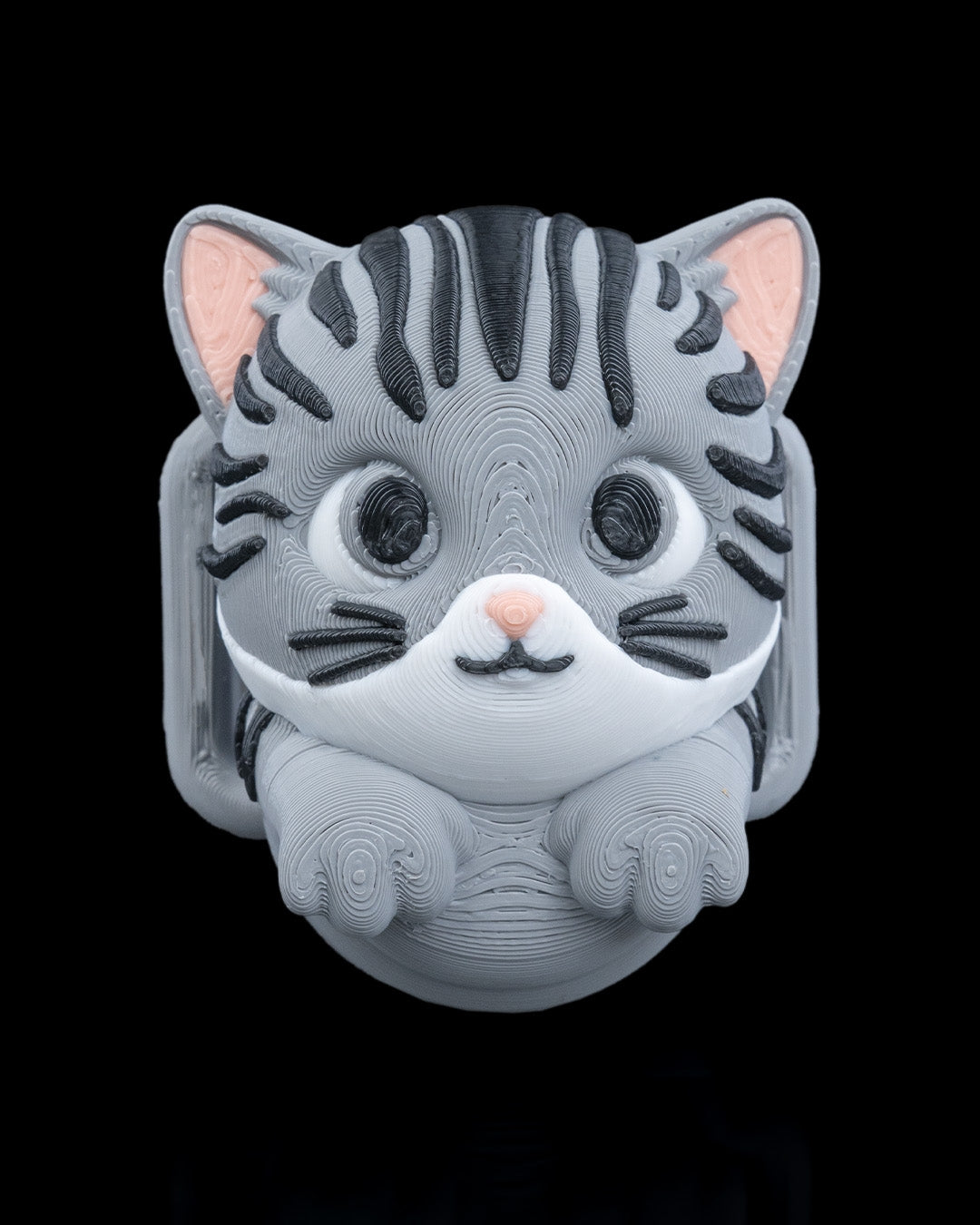 2413 - Not Missing Cat