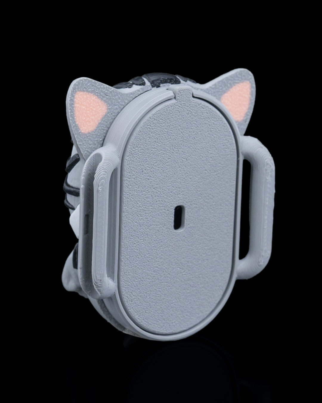 2413 - Not Missing Cat