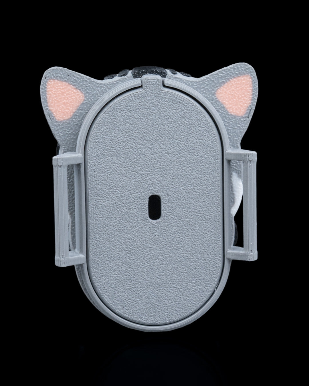 2413 - Not Missing Cat