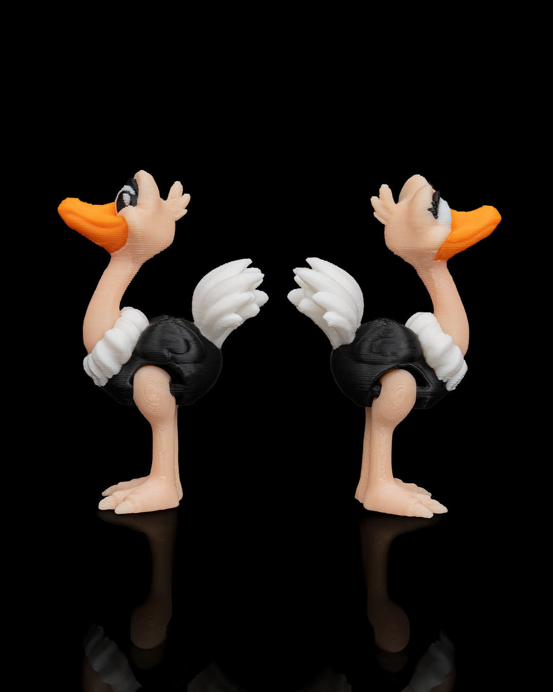 2941 - Pair of Ostriches
