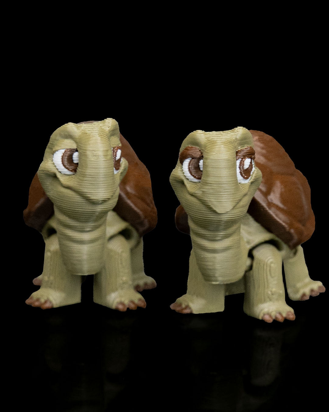 2942 - Pair of Tortoises