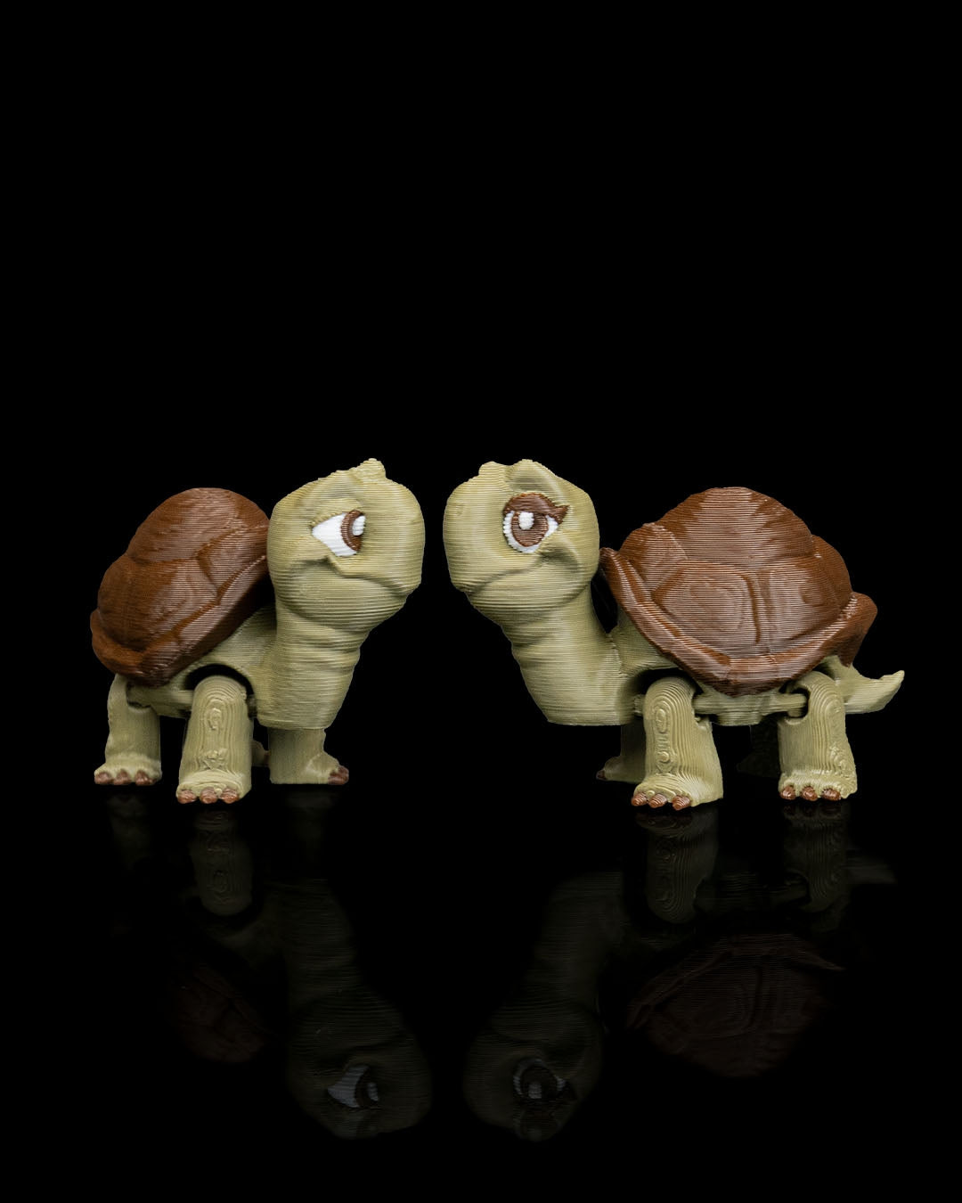 2942 - Pair of Tortoises
