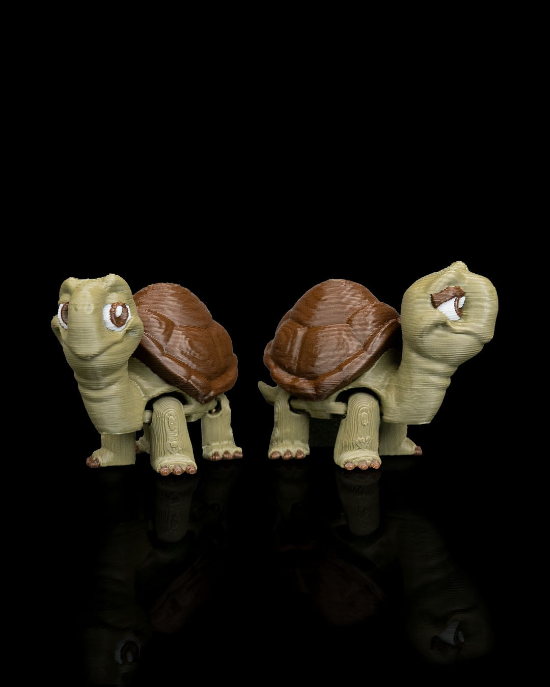 2942 - Pair of Tortoises