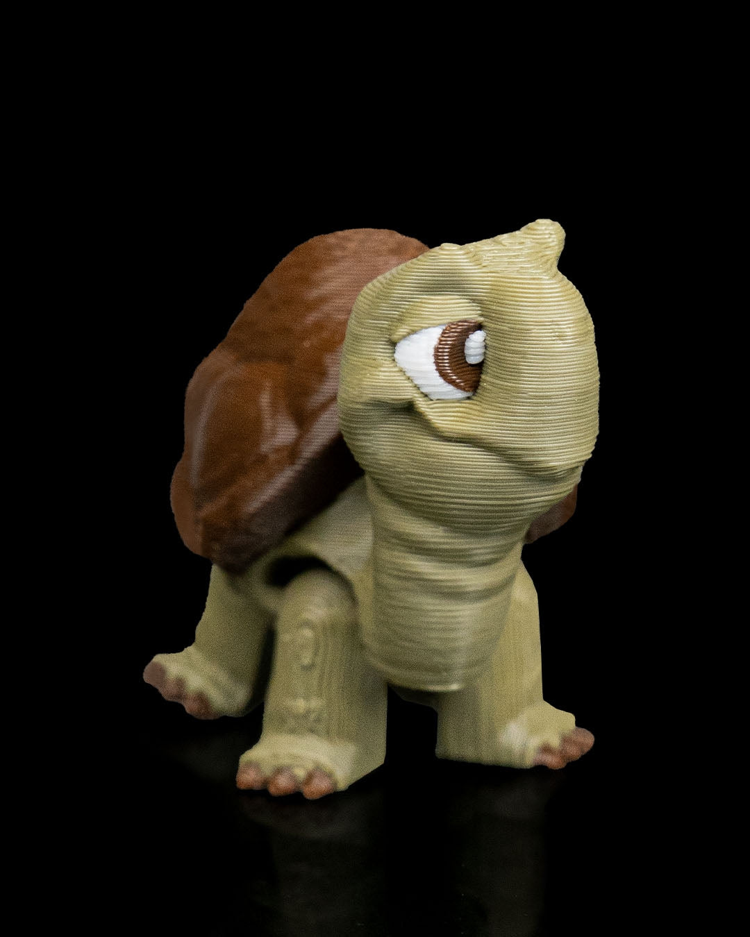2942 - Pair of Tortoises
