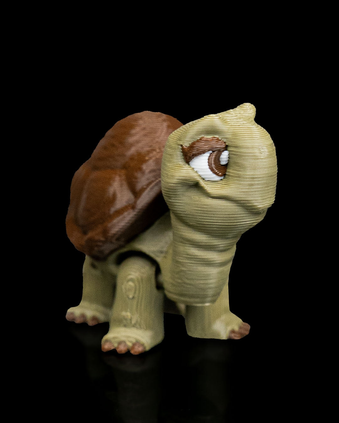 2942 - Pair of Tortoises