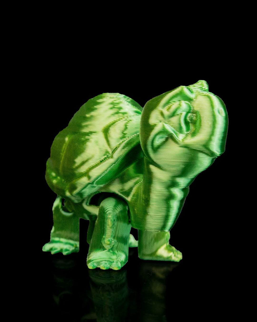 2942 - Pair of Tortoises
