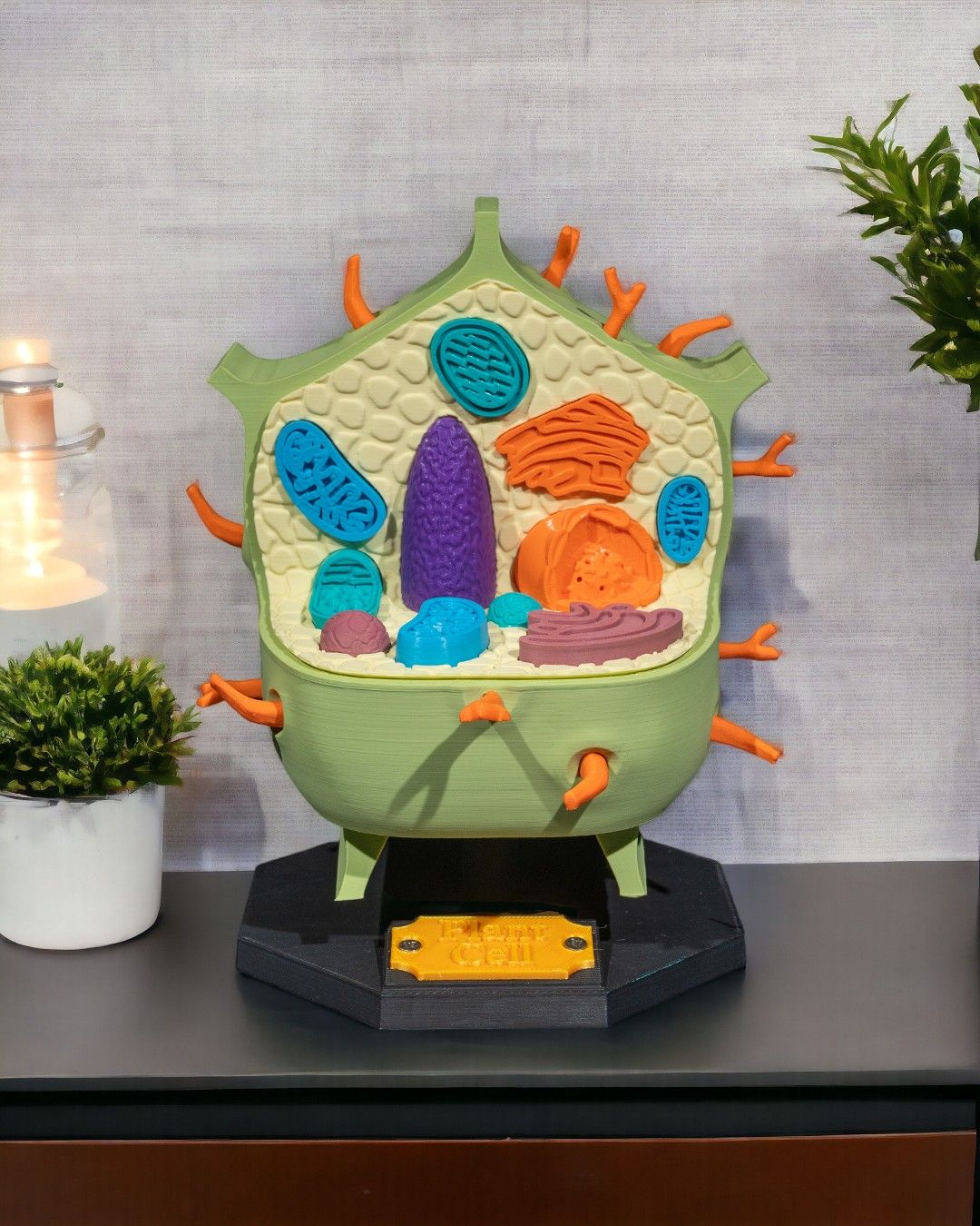 1525 - Plant Cell