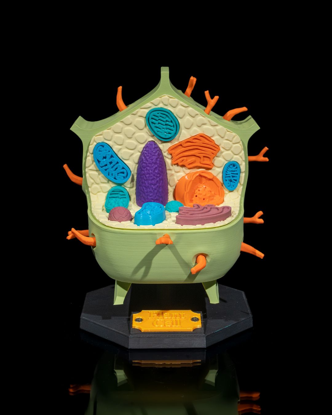 1525 - Plant Cell