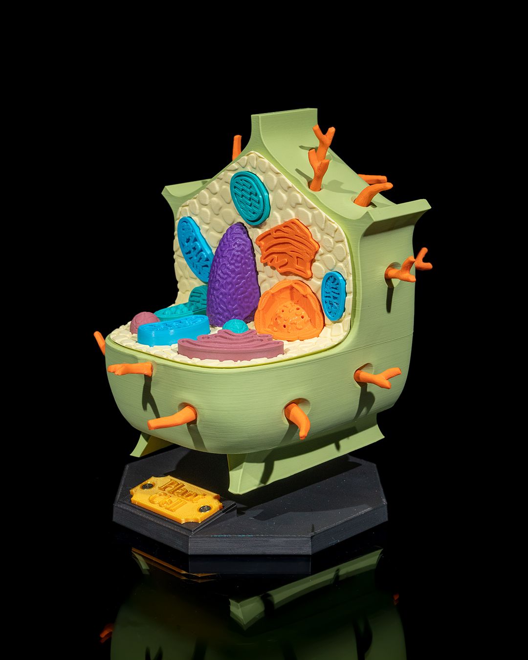 1525 - Plant Cell