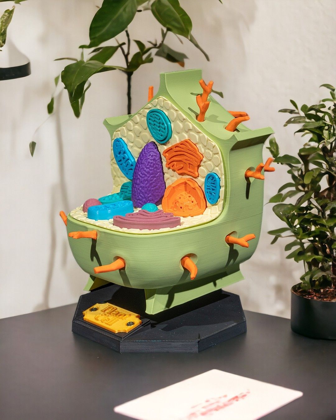 1525 - Plant Cell