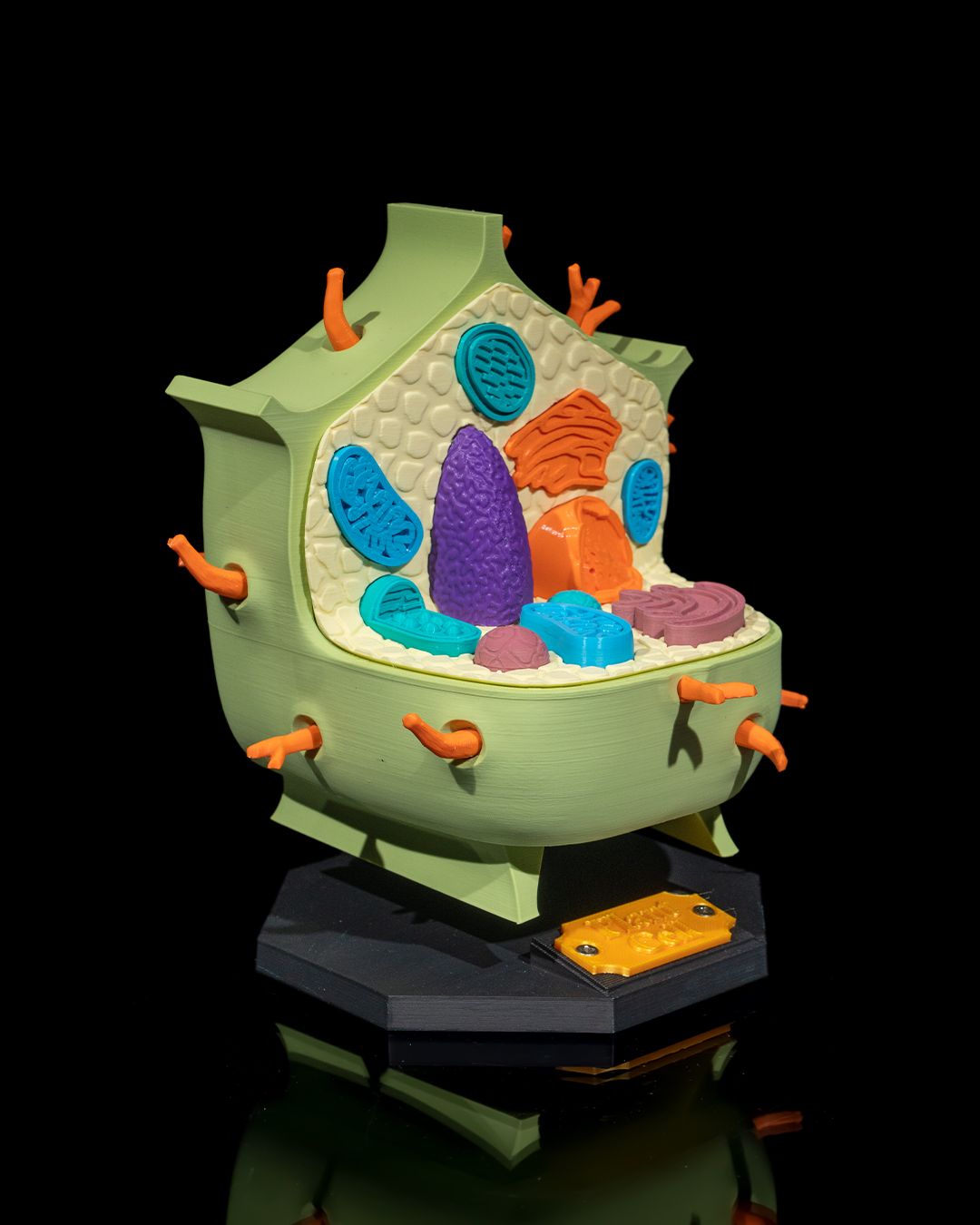 1525 - Plant Cell