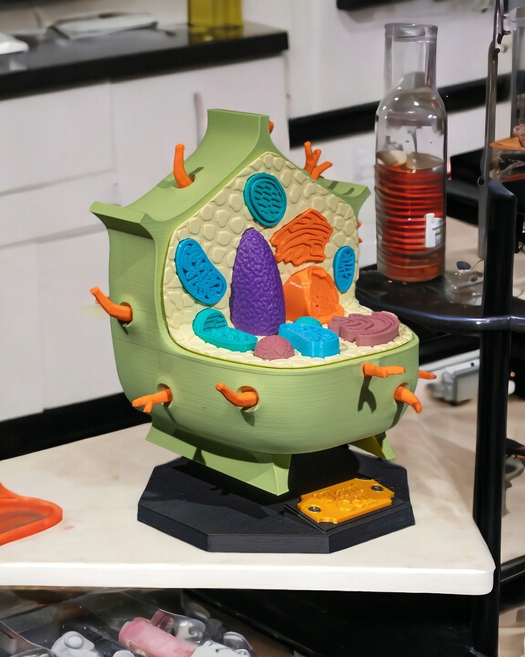 1525 - Plant Cell