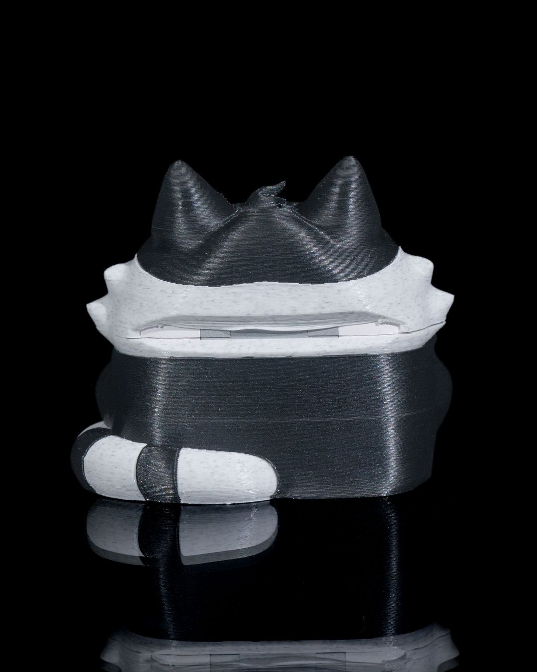 1511 - PunKitty Airpod Case