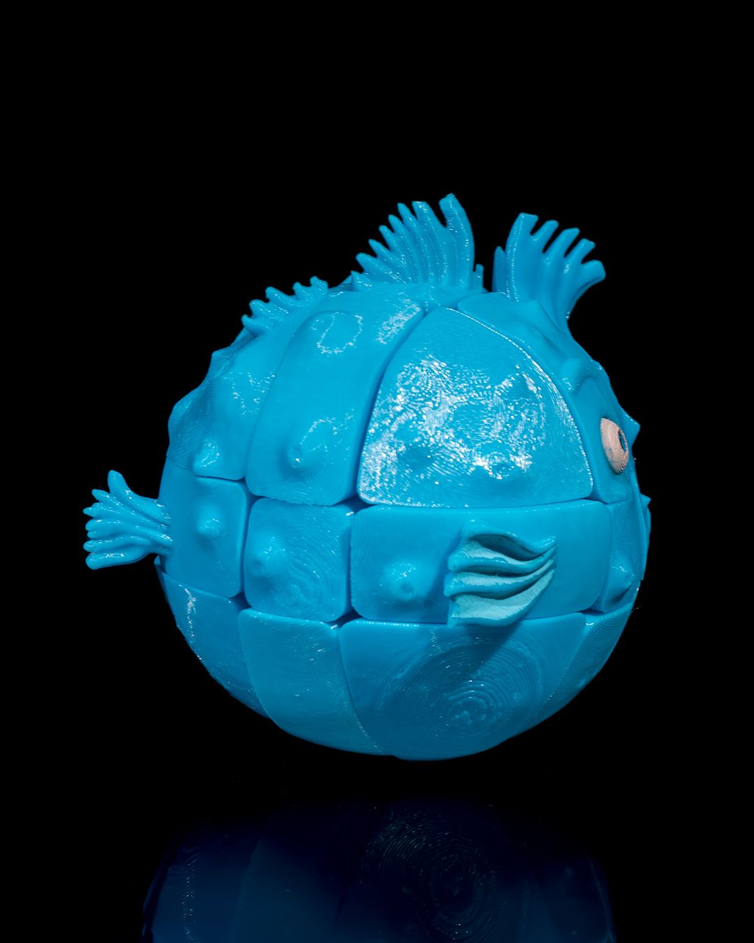 1580 - Puzzler Fish