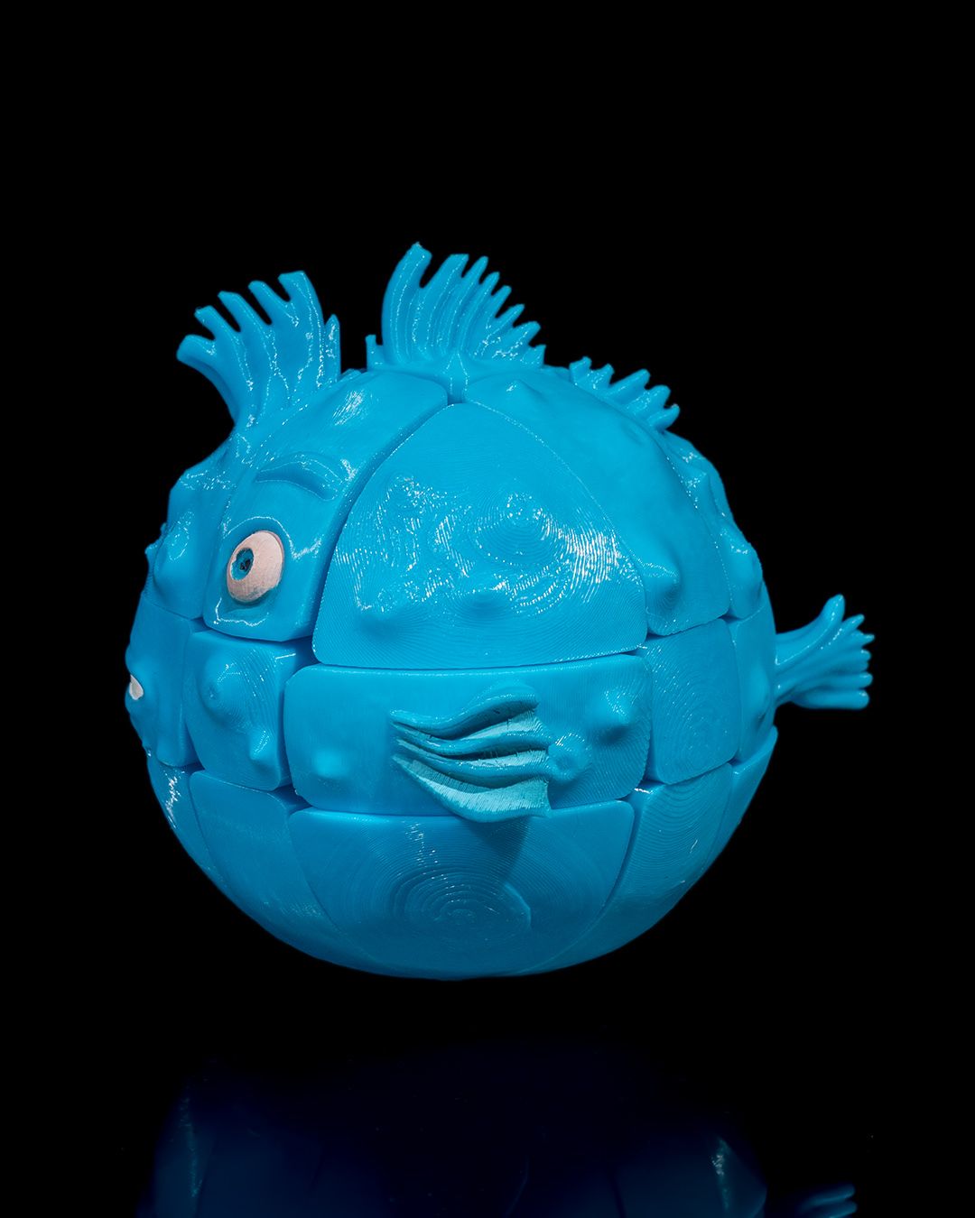 1580 - Puzzler Fish