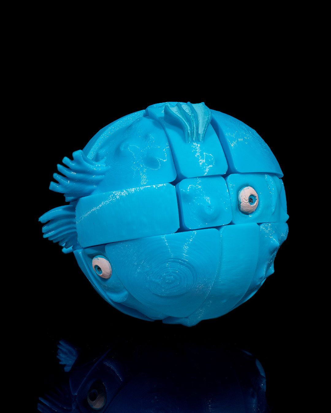 1580 - Puzzler Fish