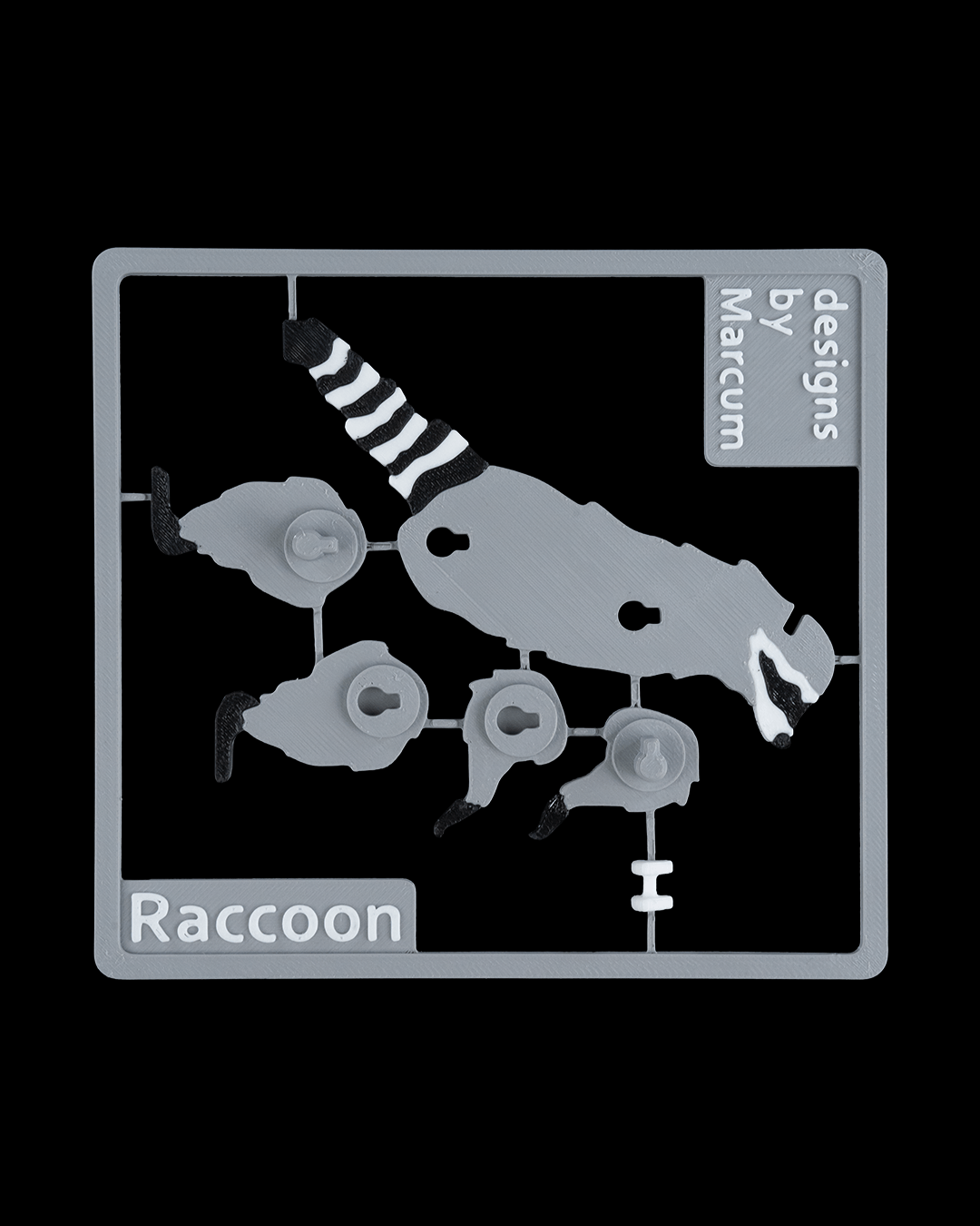2385 - Raccoon Kit Card