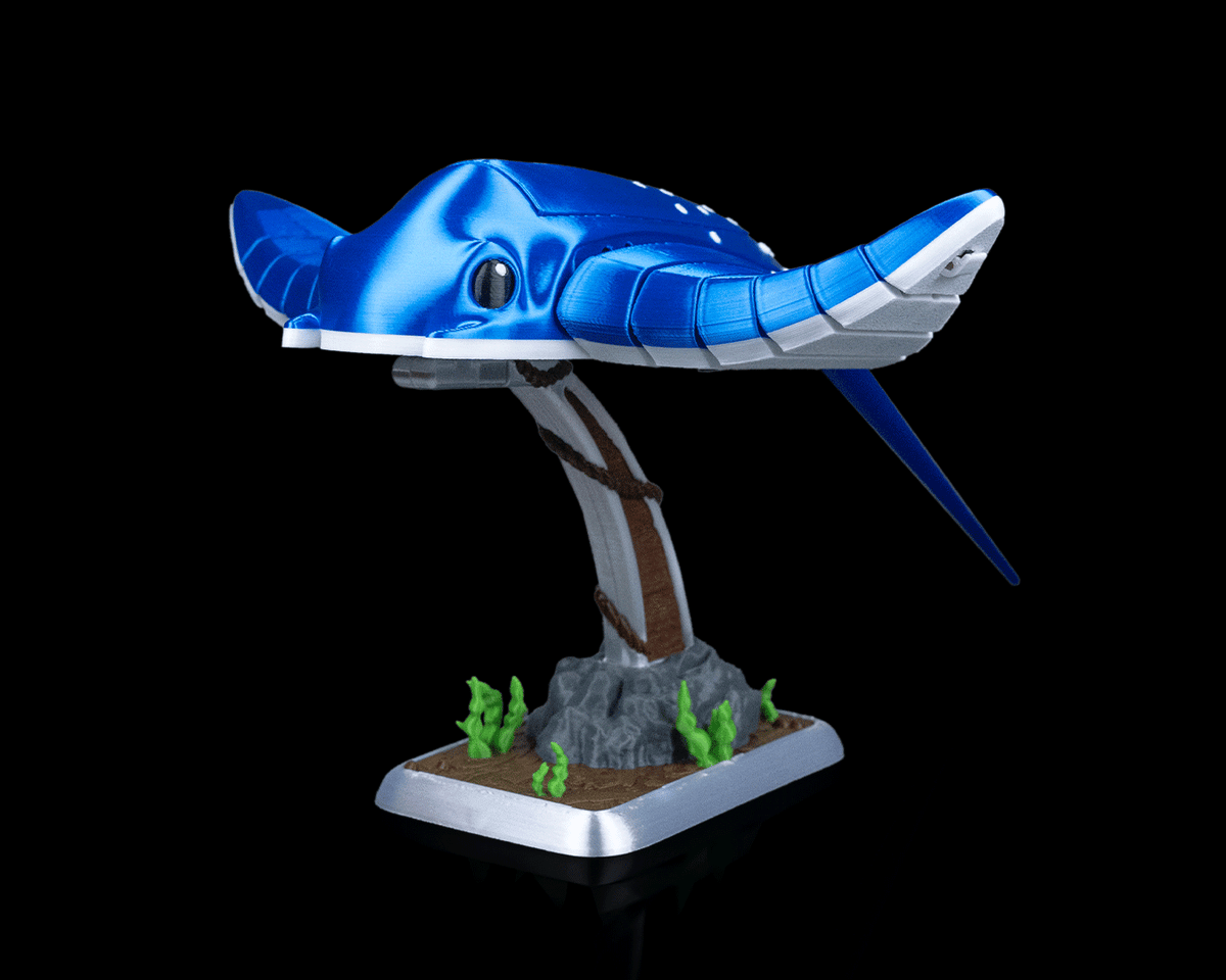 3013 - Ray Glide