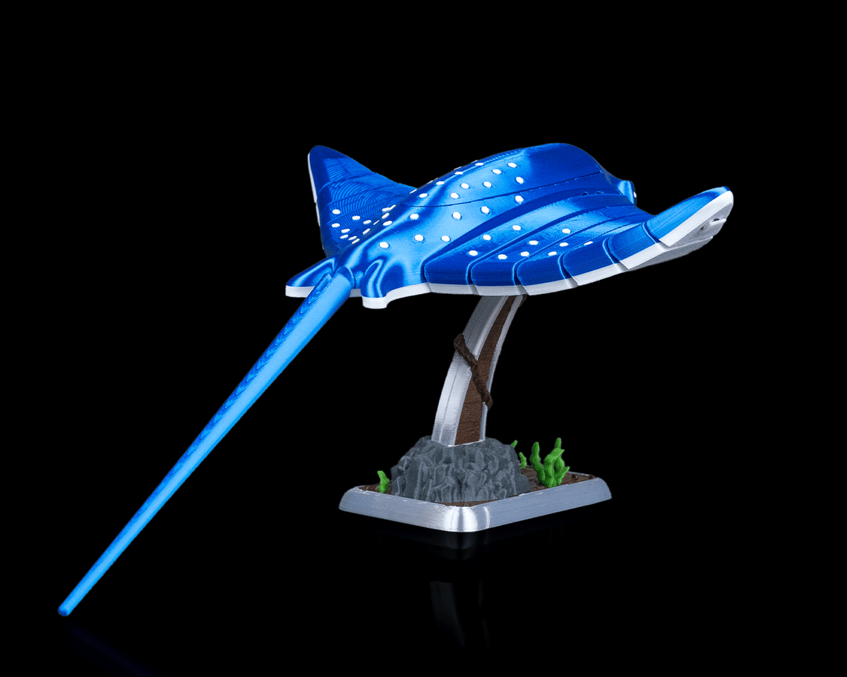 3013 - Ray Glide