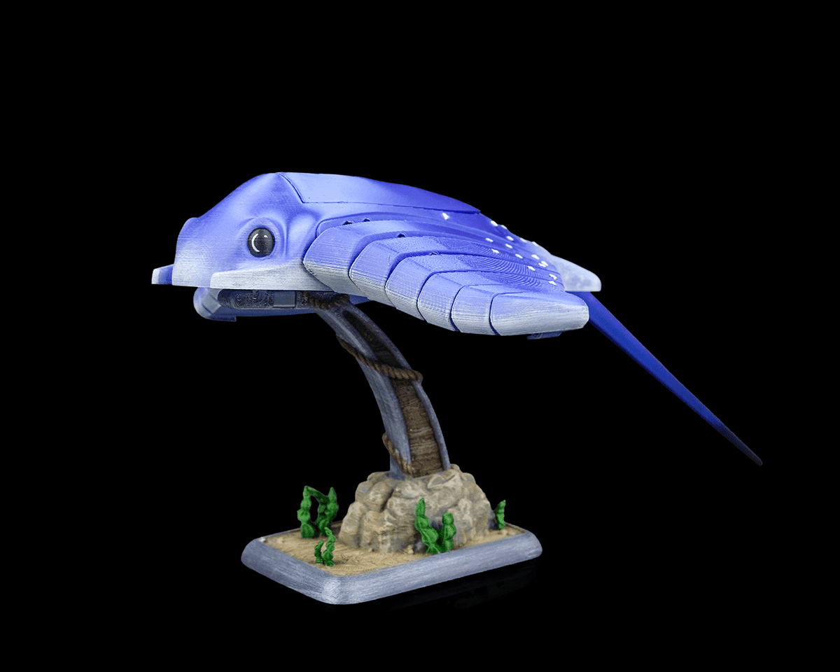 3013 - Ray Glide