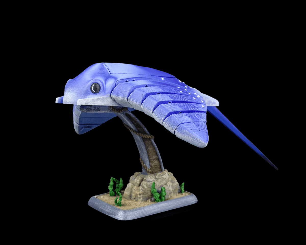 3013 - Ray Glide