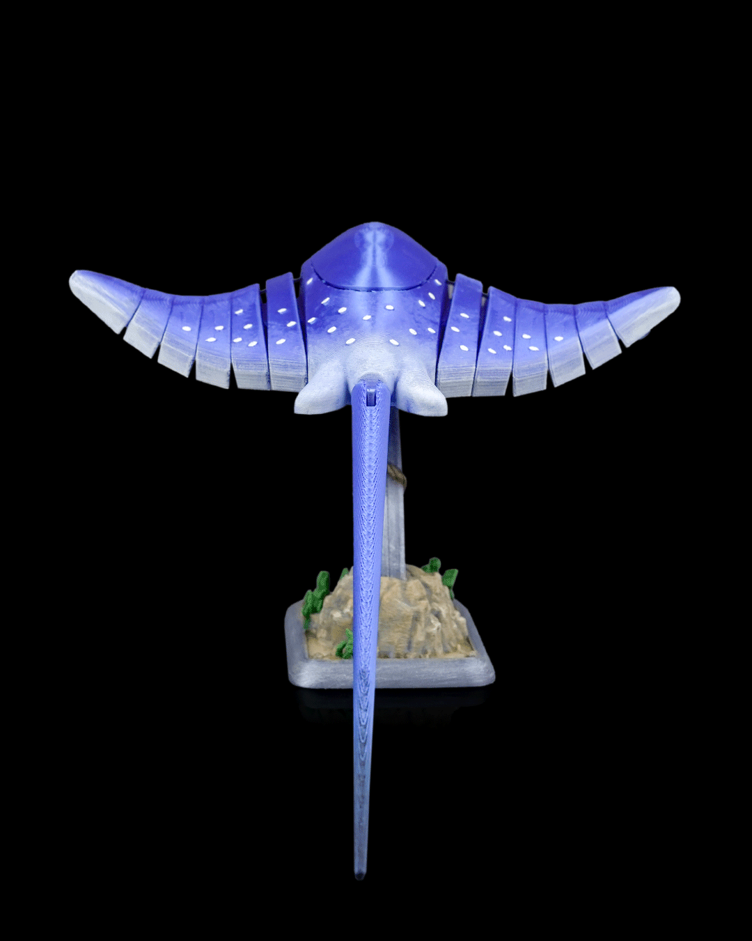 3013 - Ray Glide