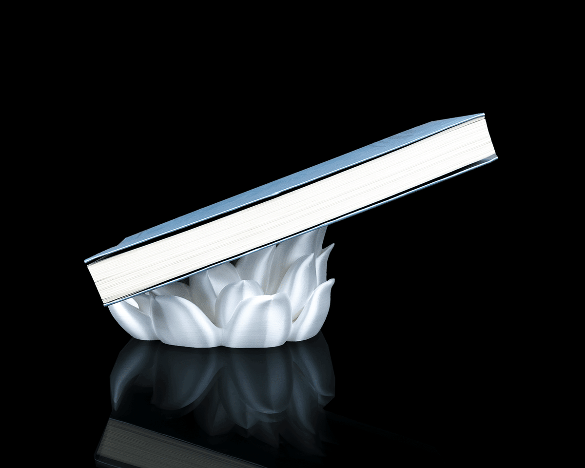 3069 - Root of Awakening - Book Stand